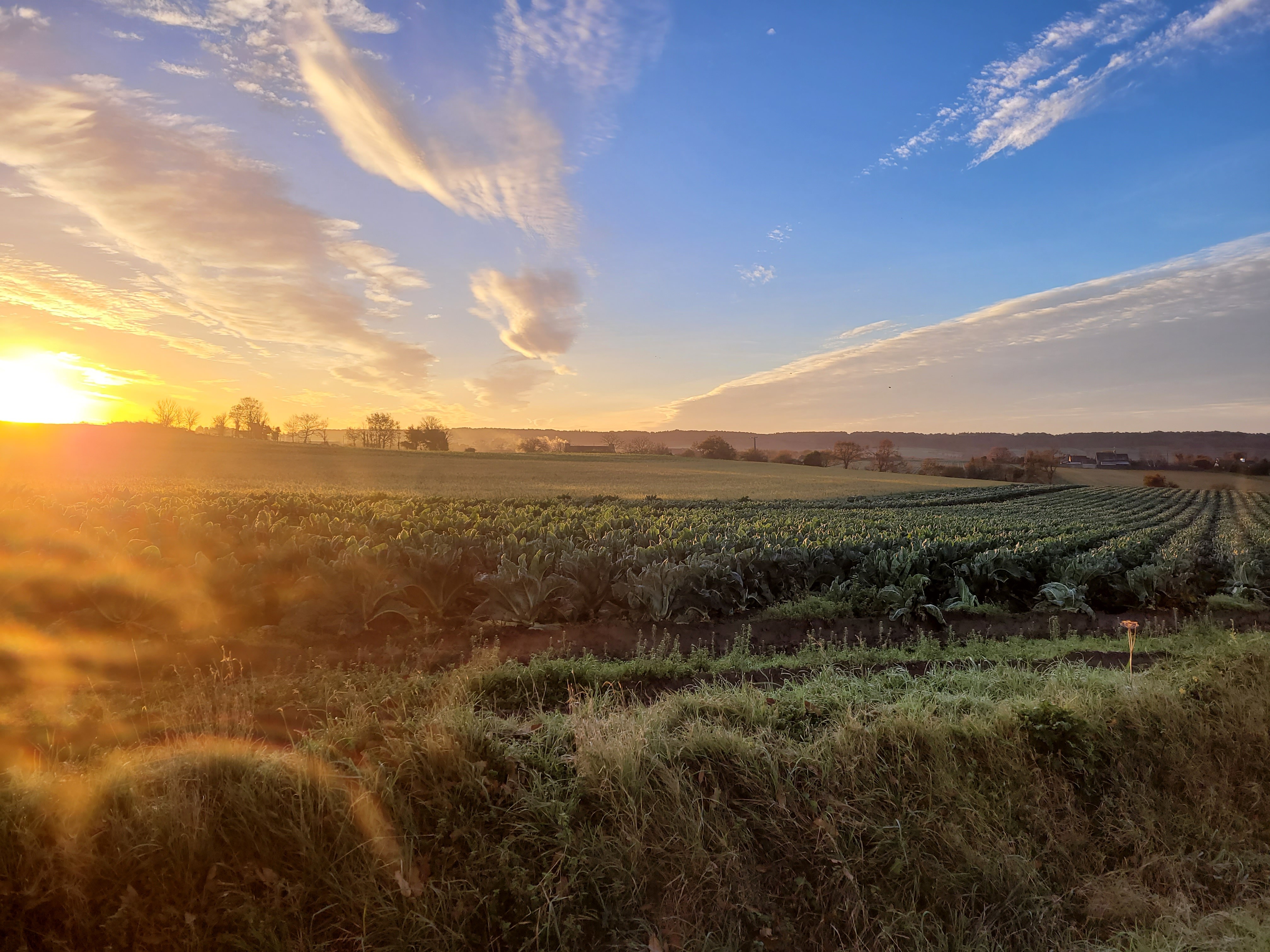 Vue Campagne de Paimpol, champ et levée de soleil
