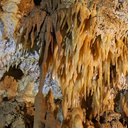 Image de couverture : Grottes de Lastournelle : Voyage Souterrain Fascinant en Lot-et-Garonne