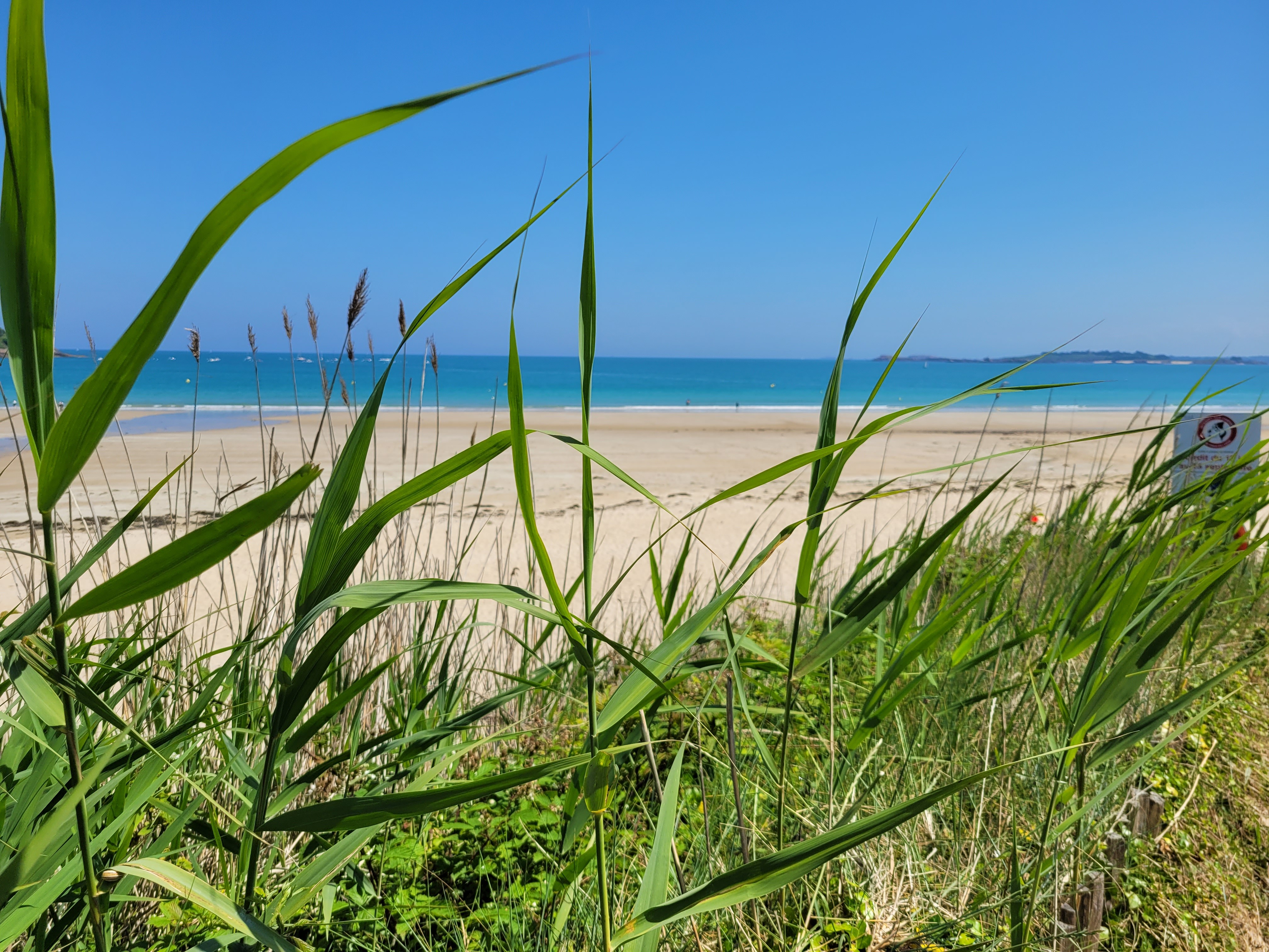 Cover image: Chambre d'hôtes à Saint-Cast-le-Guildo, entre mer et accueil breton