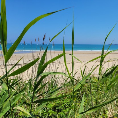 Image de couverture : Chambre d'hôtes à Saint-Cast-le-Guildo, entre mer et accueil breton