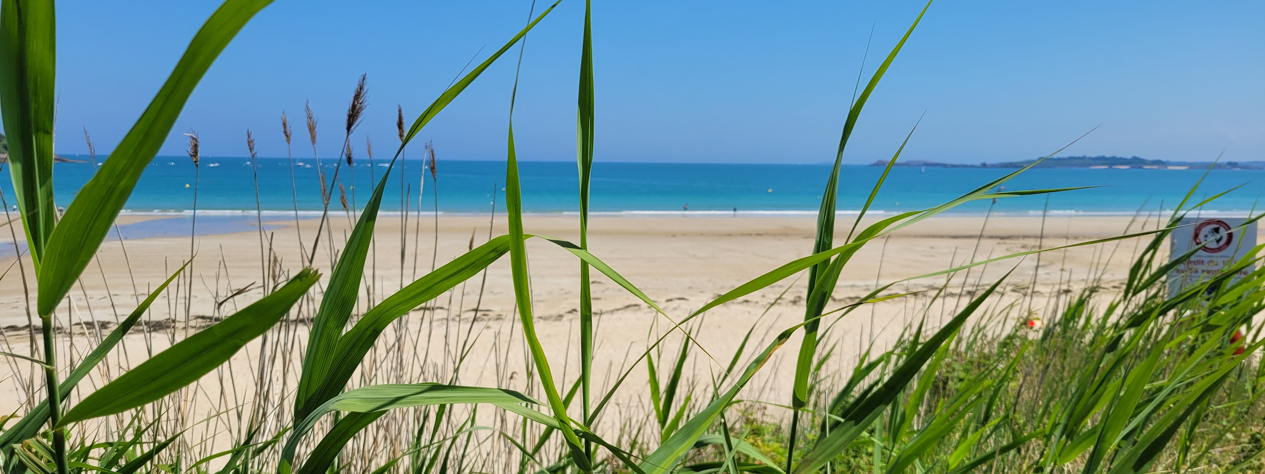 Image de couverture : Chambre d'hôtes à Saint-Cast-le-Guildo, entre mer et accueil breton
