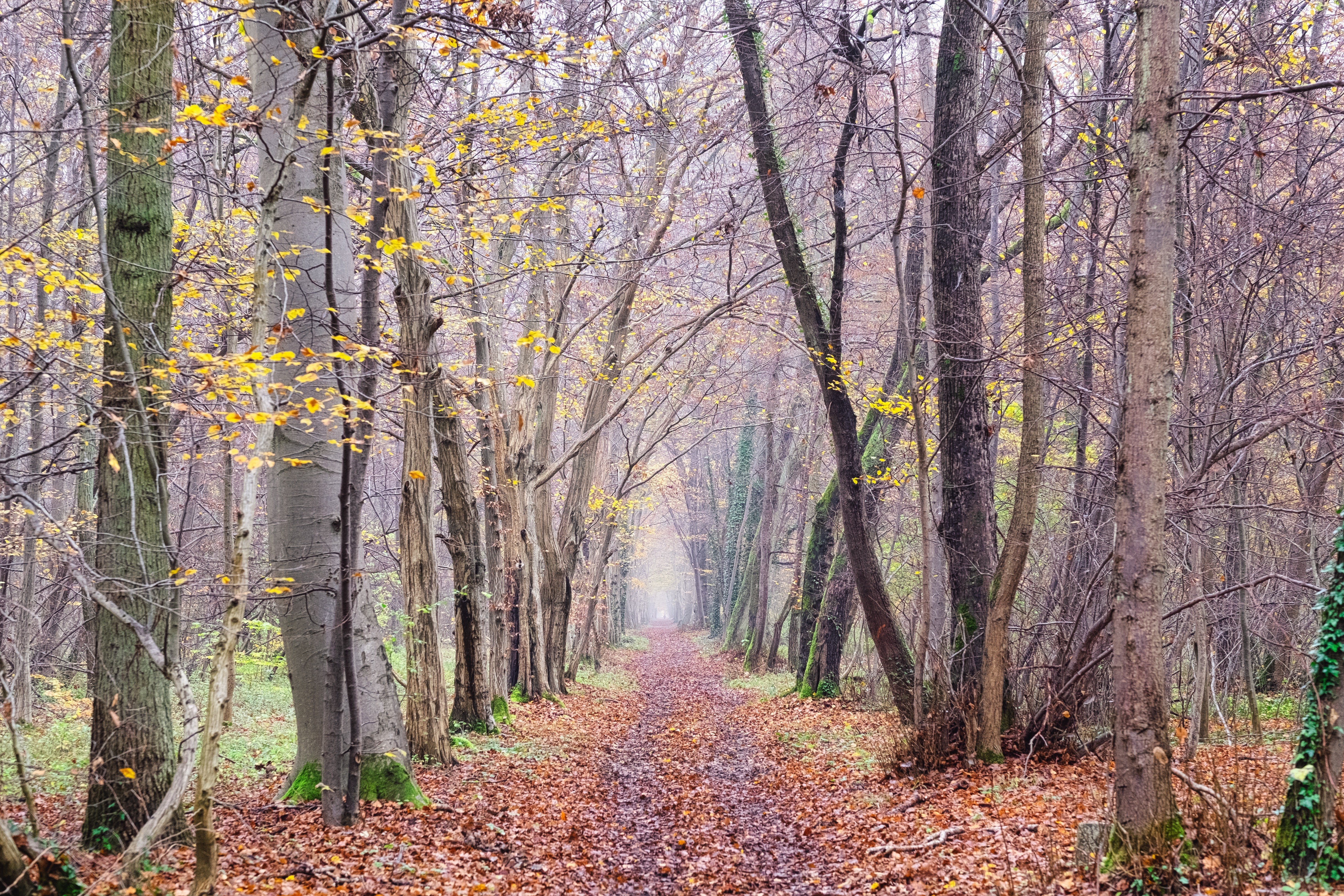 Image de couverture : Location de Vacances à Stonne (08) | Séjour Ardennes