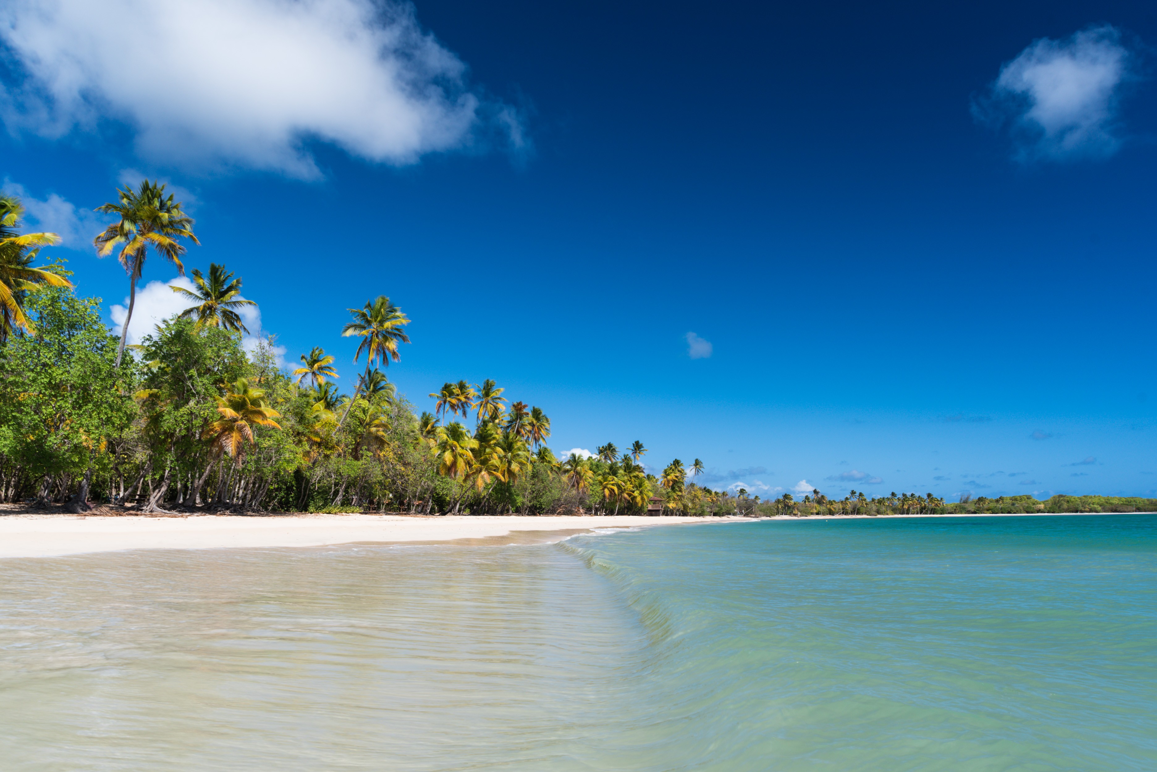Image de couverture : Location de vacances en Martinique au bord de mer