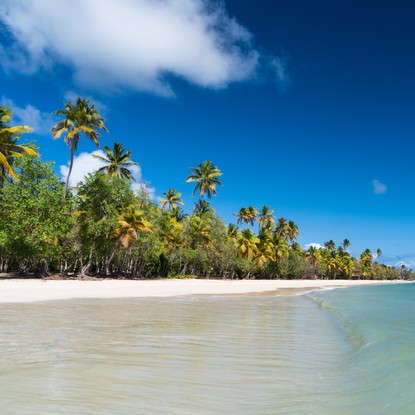 Salines_Martinique_CMT_TropiXPhoto_HD-17