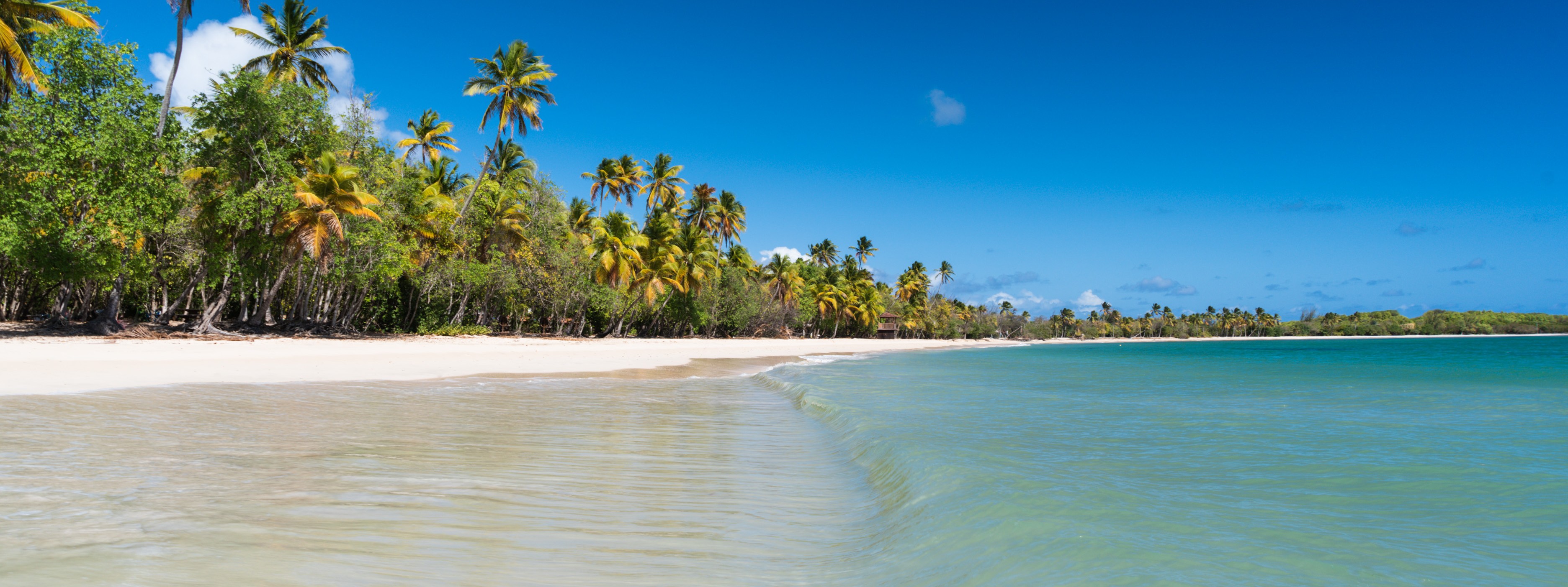 Salines_Martinique_CMT_TropiXPhoto_HD-17