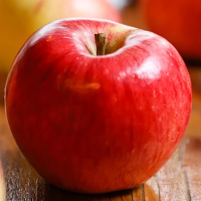 Image de couverture : Location de vacances dans le Pays d'Auge