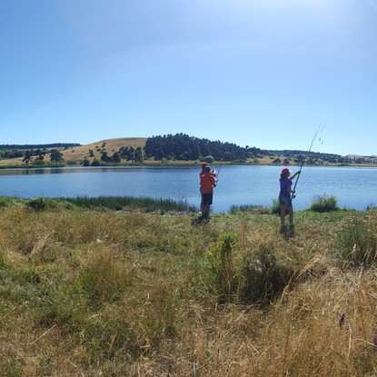 Cover image: Massif de la Pinatelle & Lac du Pêcher : Escapade Nature en Auvergne