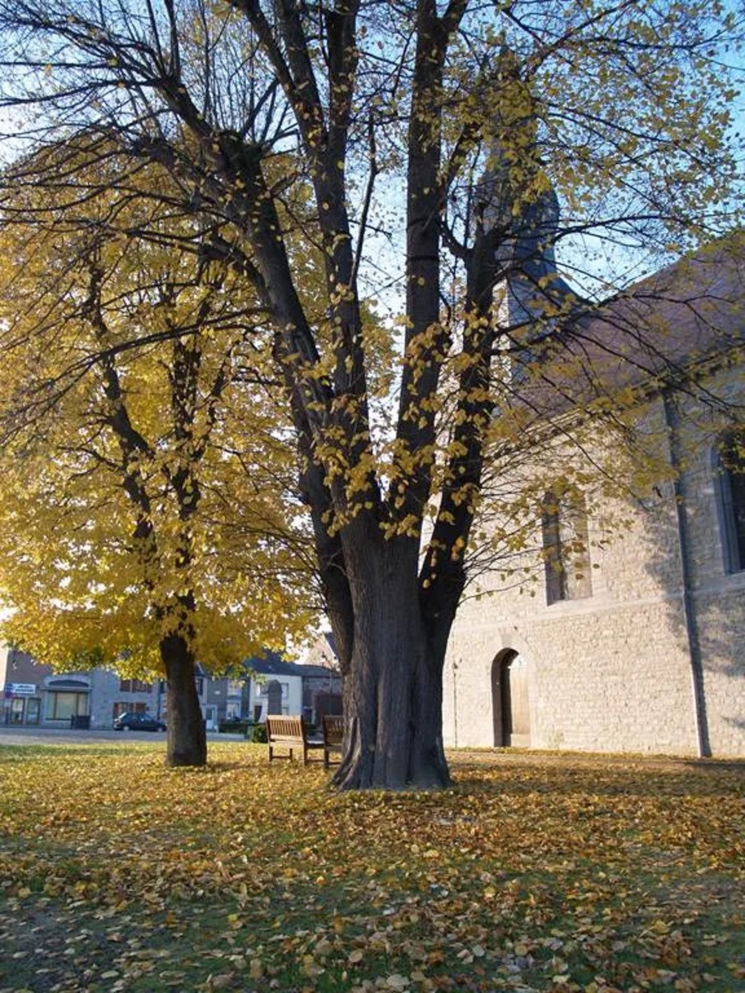 Image de couverture : Location de Vacances à Chooz (08) | Séjour Ardennes