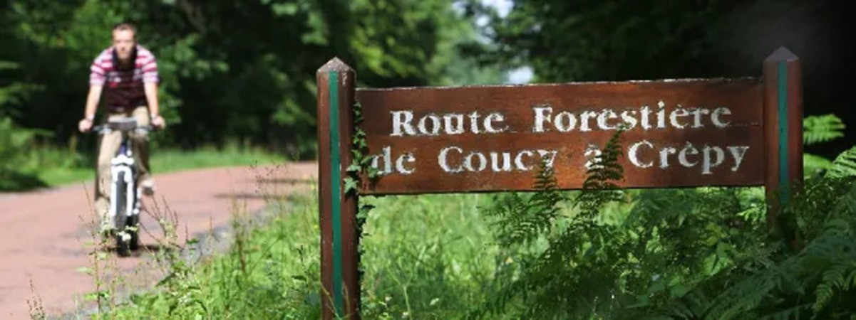 Vue chemin forestier de Coucy à Crepy dans l'Aisne 02