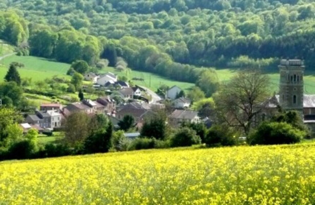 View of Balaives-et-Butz in the 08 department