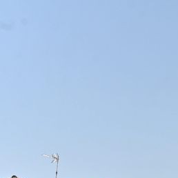 Image de couverture : Location de vacances à Lanmeur