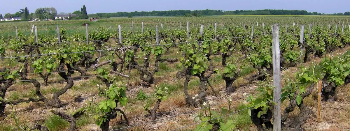 Cover image: Holiday rentals in Vouvray