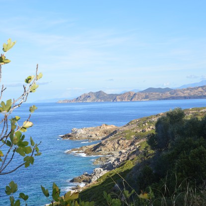 Image de couverture : Locations de vacances en Haute Corse