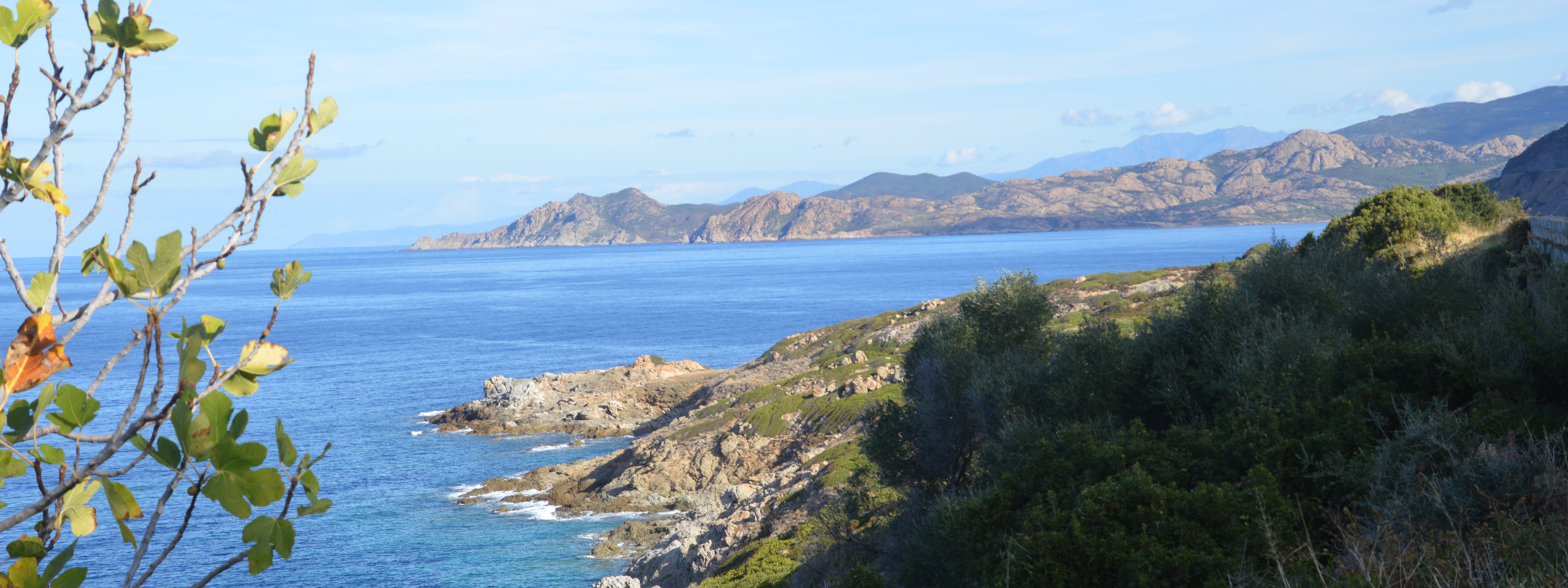 Cover image: Holiday rentals in Haute Corse