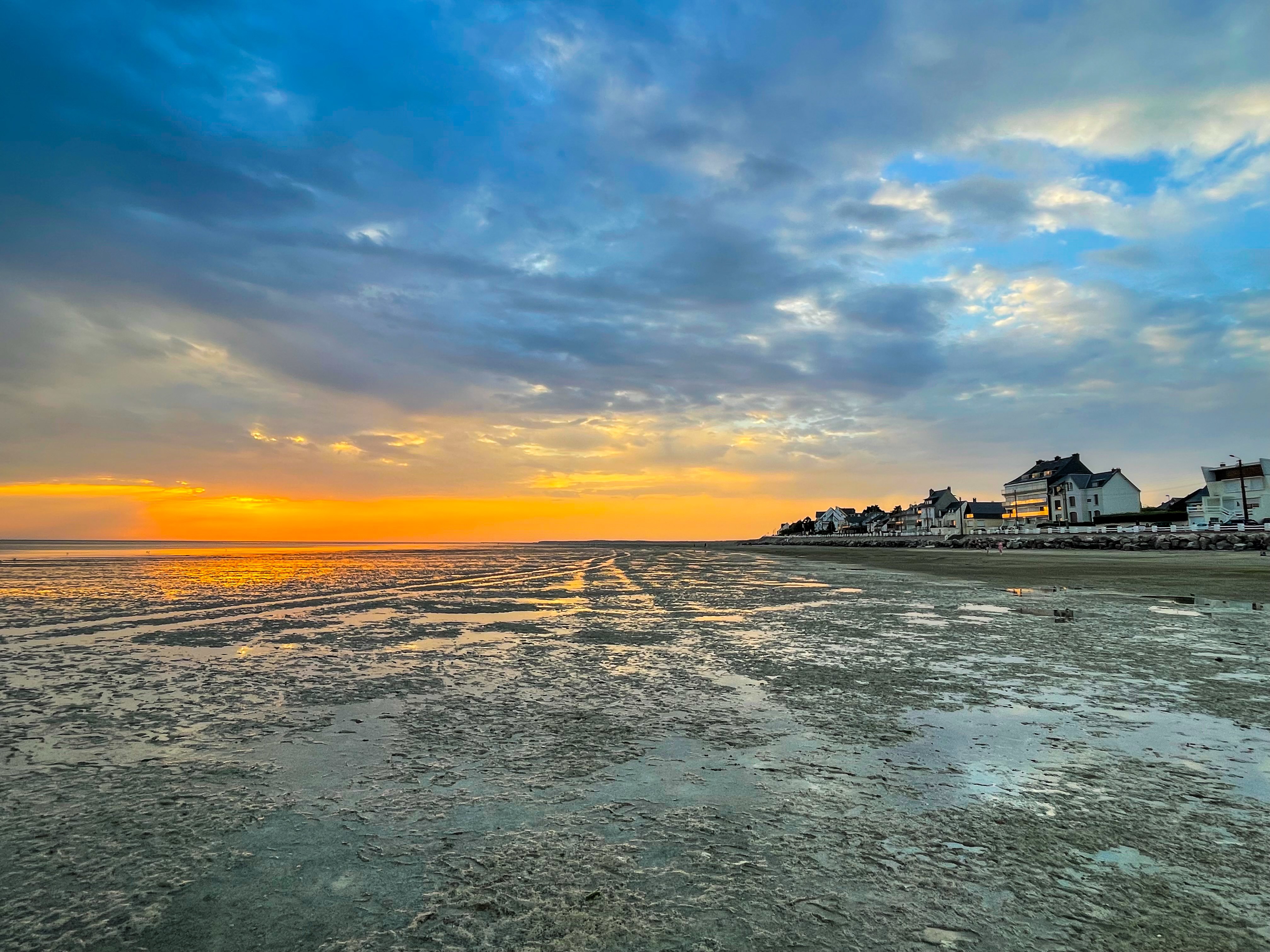 Image de couverture : Explorez la Baie de Somme : Beauté Naturelle et Biodiversité