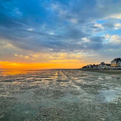 Image de couverture : Explorez la Baie de Somme : Beauté Naturelle et Biodiversité
