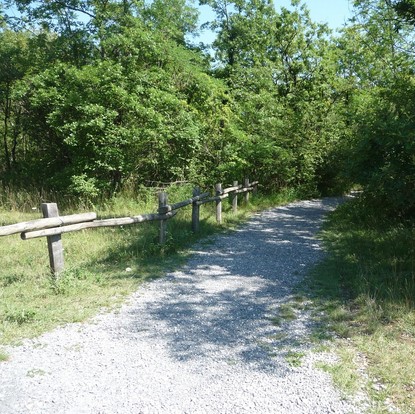 Vue chemin foret Saint-Benoît-sur-Seine 10 Aube