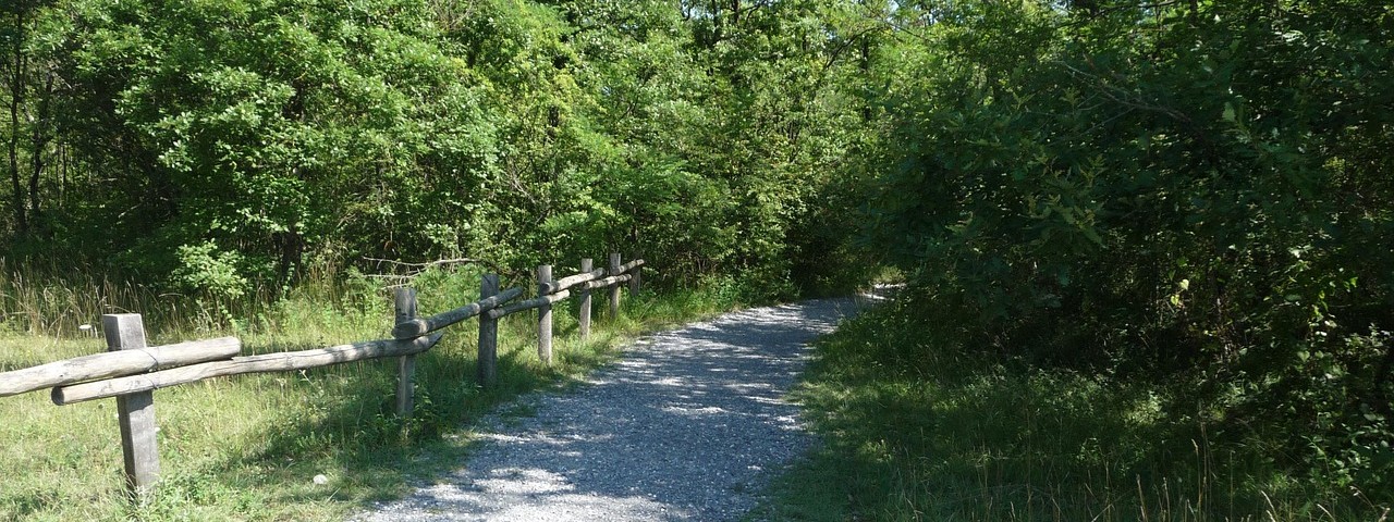 Vue chemin foret Saint-Benoît-sur-Seine 10 Aube