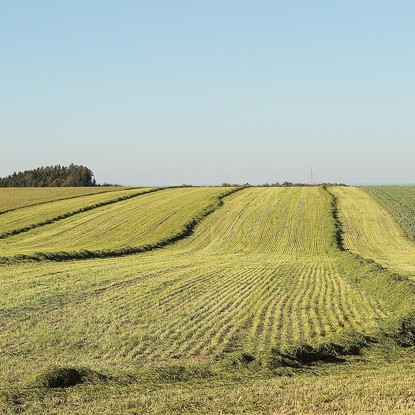 Vue sur la campagne à Fagnières 51 Marne
