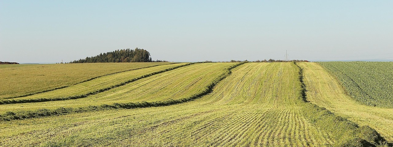 Vue sur la campagne à Fagnières 51 Marne