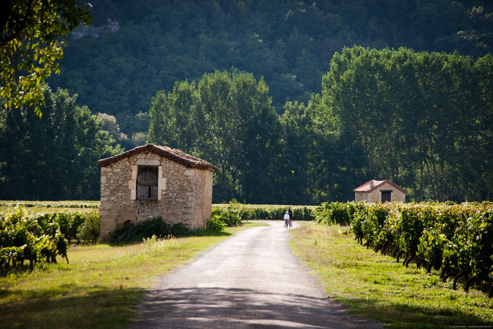 Image de couverture : Location de vacances à Domme