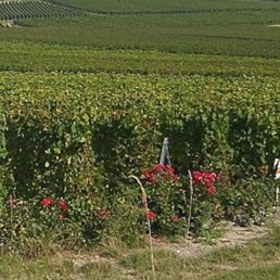 Image de couverture : Locations de vacances à Colombé-le-Sec (10200)