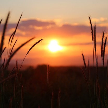 Coucher de soleil  à Lachy Marne 51