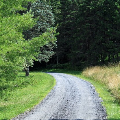 Vue sur l'entrée d"une foret à Bucey-en-Othe 51 Marne