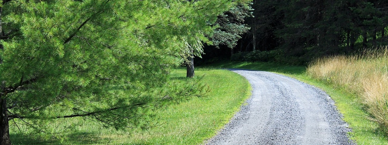 Vue sur l'entrée d"une foret à Bucey-en-Othe 51 Marne