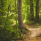 Image de couverture : Gîtes à Haussignémont