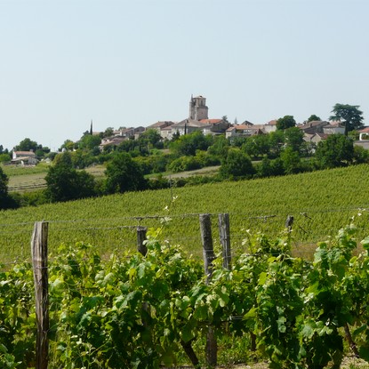 Image de couverture : Chambre d'hôtes à Montagnac-sur-Auvignon