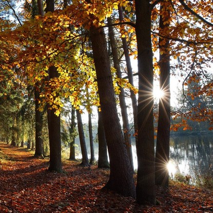 Vue sur foret et seine à Romilly sur Seine 10 Aube