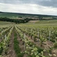 Image de couverture : Gîtes à Le Breuil (51210)