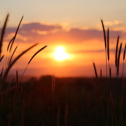 Coucher de soleil  à Lachy Marne 51