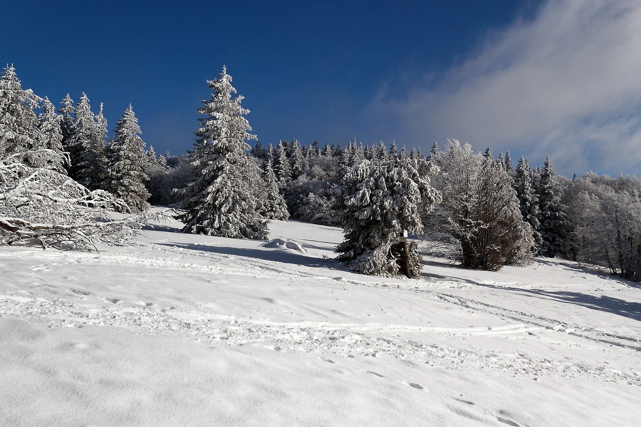 Image de couverture : Location de chalet dans les Vosges, station de ski