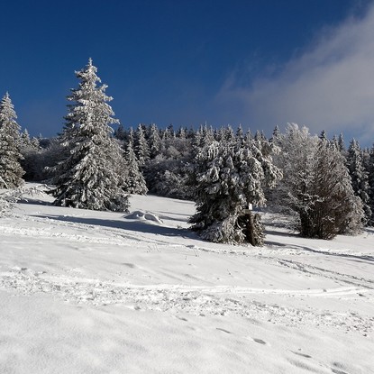 Image de couverture : Location de chalet dans les Vosges, station de ski