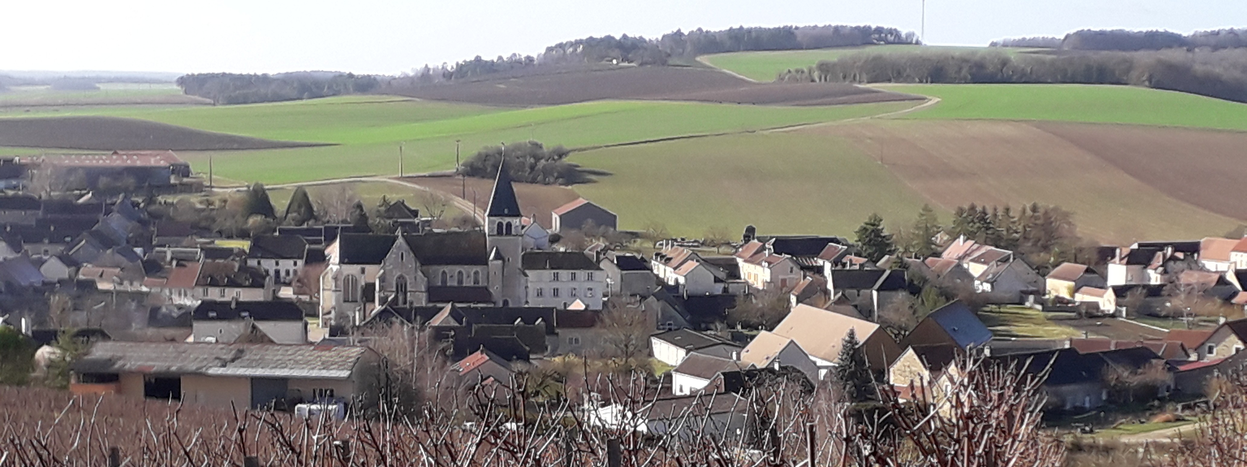 Vue de Bagneux la fosse dans l'Aube 10
