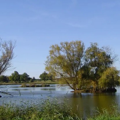 View of the Outines Marne ponds