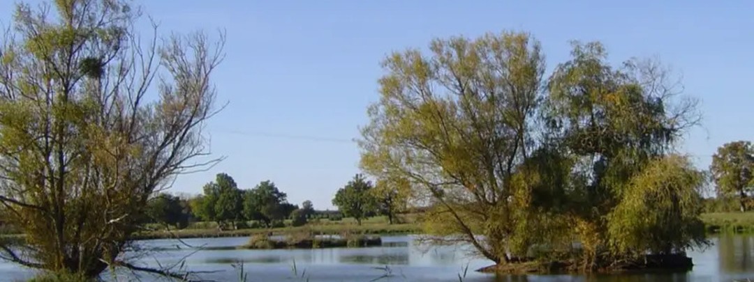 Vue sur les etangs de Outines Marne