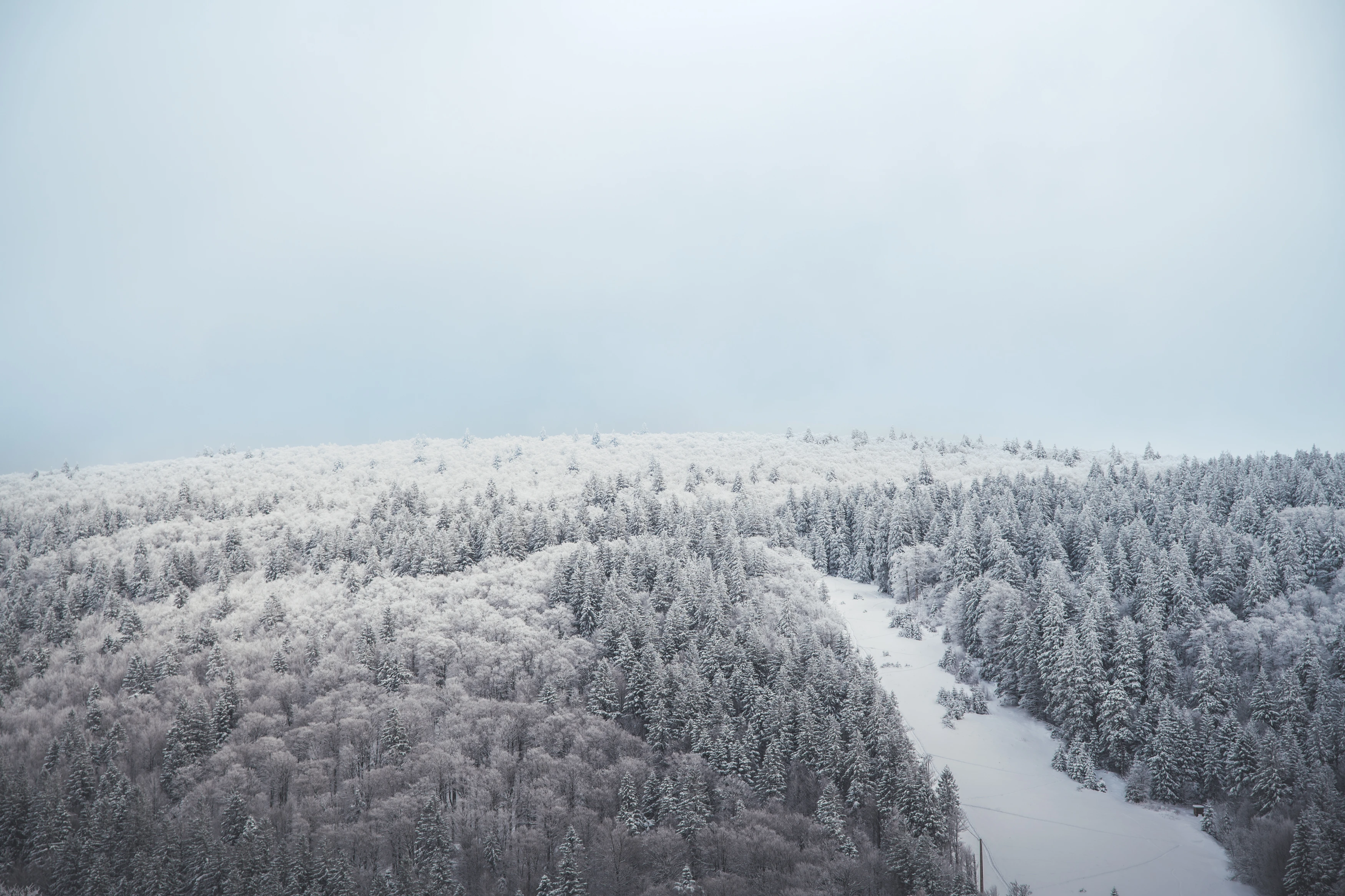 Vacances hiver, Stations de ski et Rando raquettes dans les Vosges_©ART GE - Pierre Defontaine