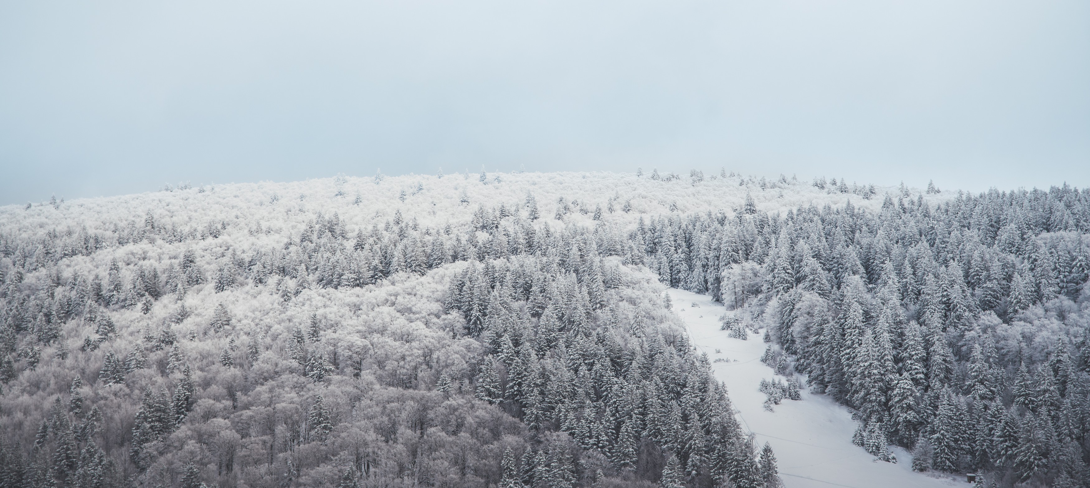 Vacances hiver, Stations de ski et Rando raquettes dans les Vosges_©ART GE - Pierre Defontaine