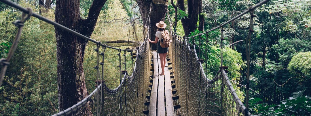 Pont suspendu en Martinique
