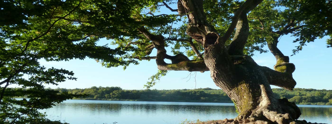 Image de couverture du département Indre