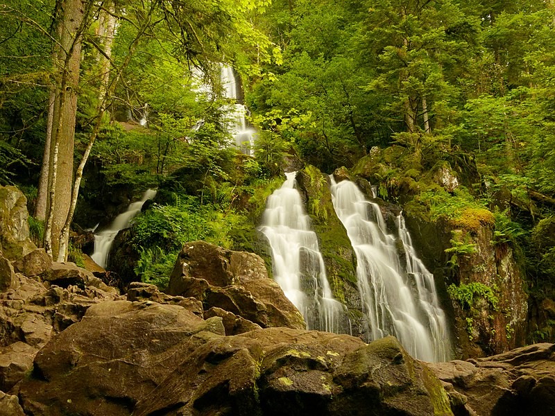 La Grande Cascade de Tendon, sa chute d’eau et la forêt qui l’entoure. / Licences Creative Commons