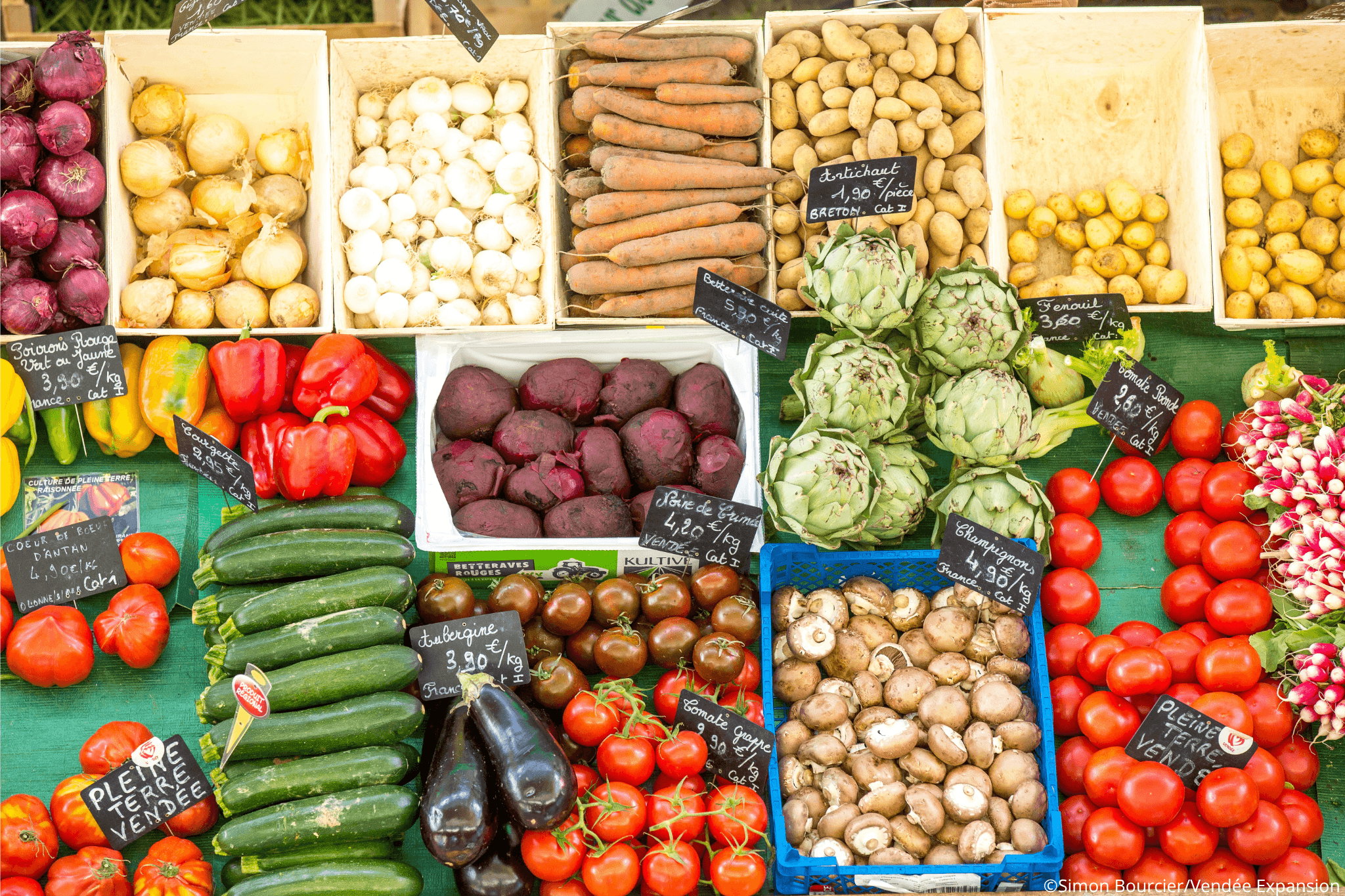 Étale du marché avec des légumes frais comme la courgette, les tomates, les betteraves, champignons…