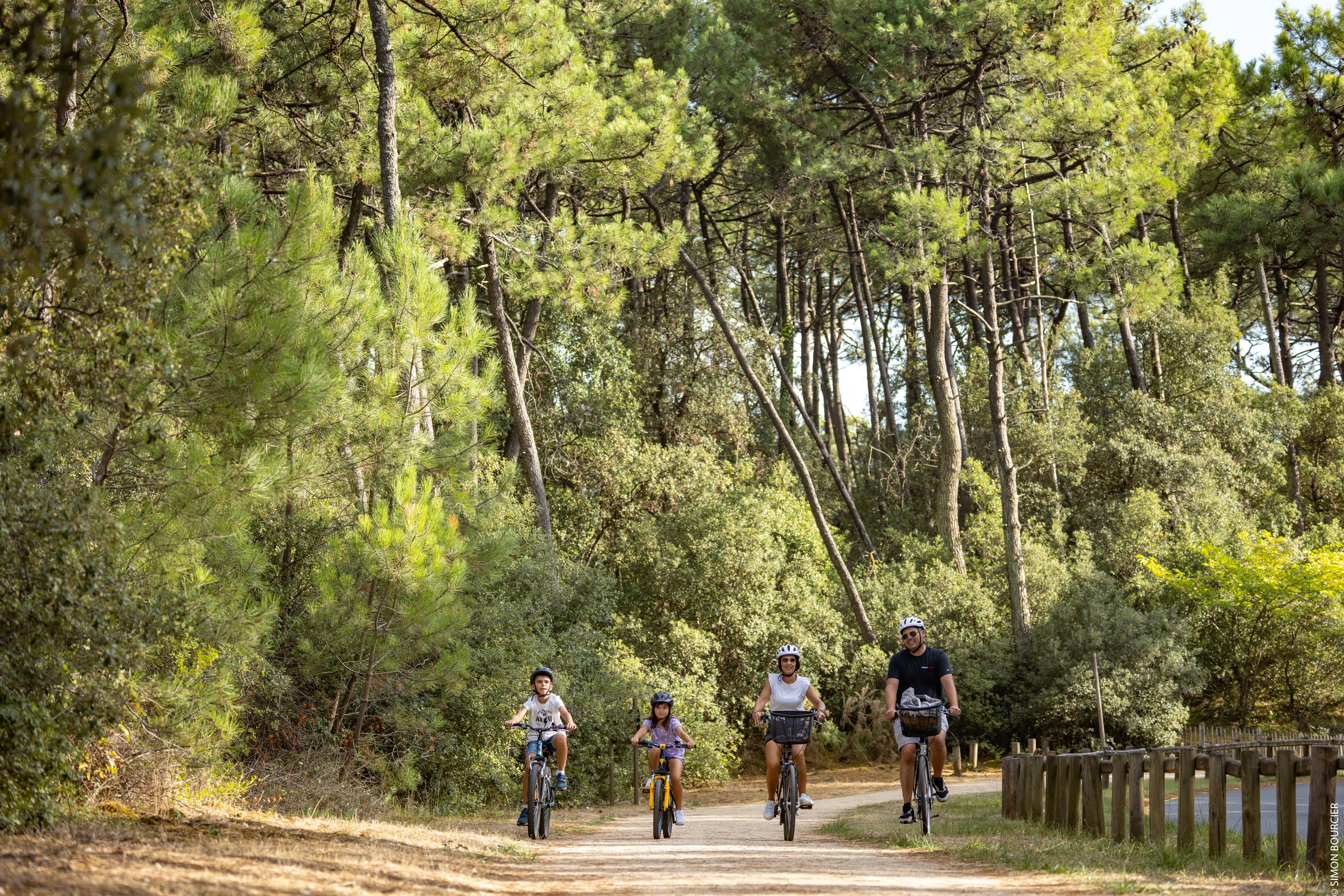 Une famille, parents et enfants se baladent à vélos dans une forêt de pins