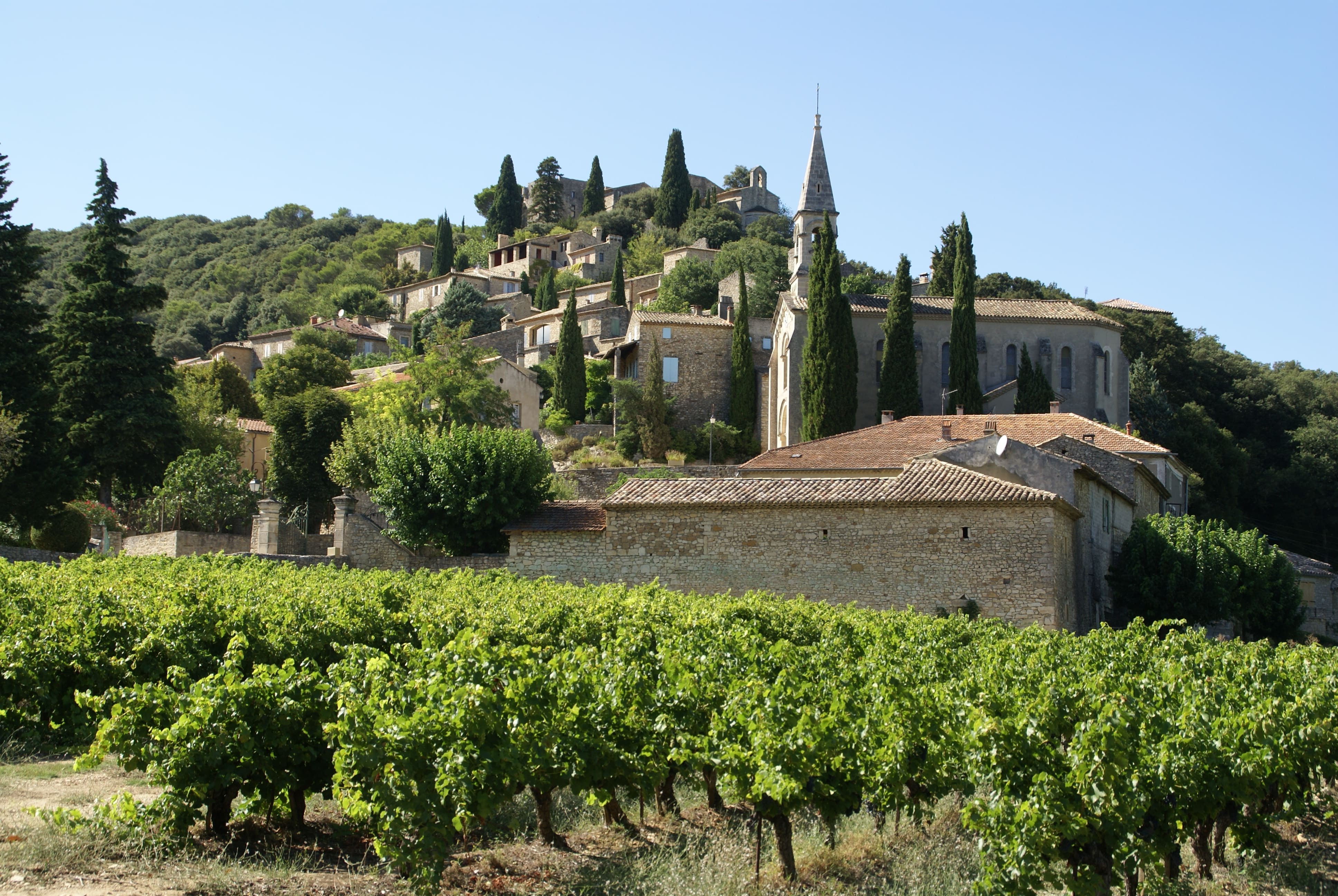 Le village perché de La Roque-sur-Cèze dans le Gard avec les vignes en feuille au premier plan