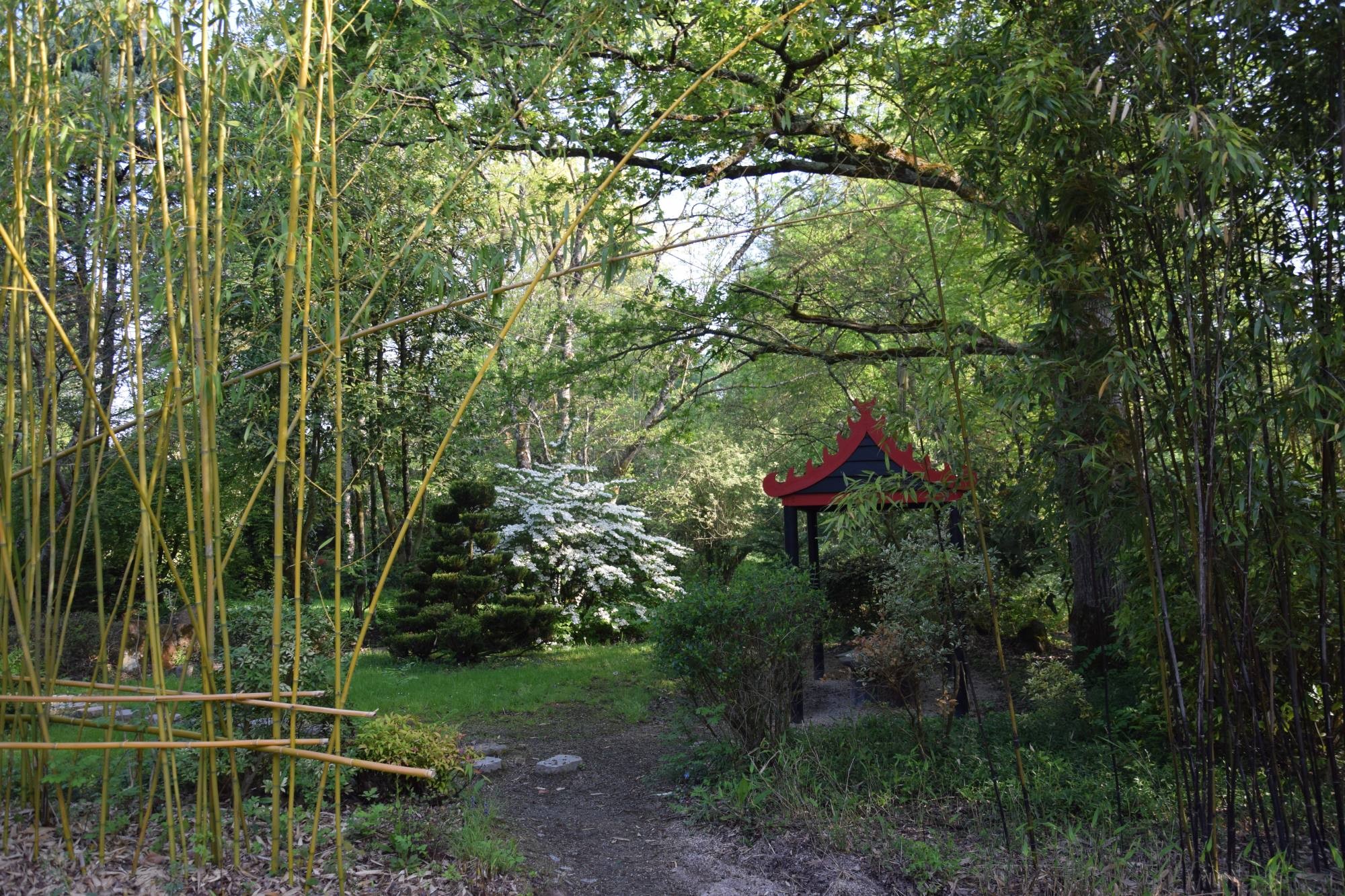 Jardin asiatique aux Jardins de Brocéliande avec des bambous et un pavillon traditionnel rouge