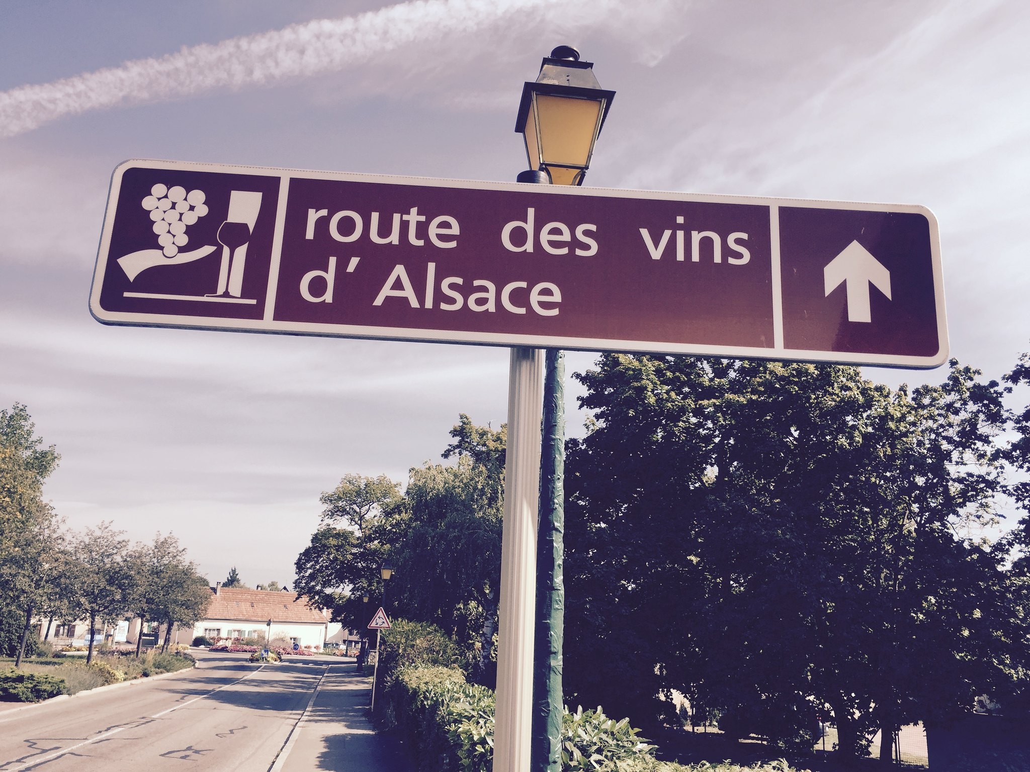 Panneau routier indiquant la direction de la Route des Vins d'Alsace