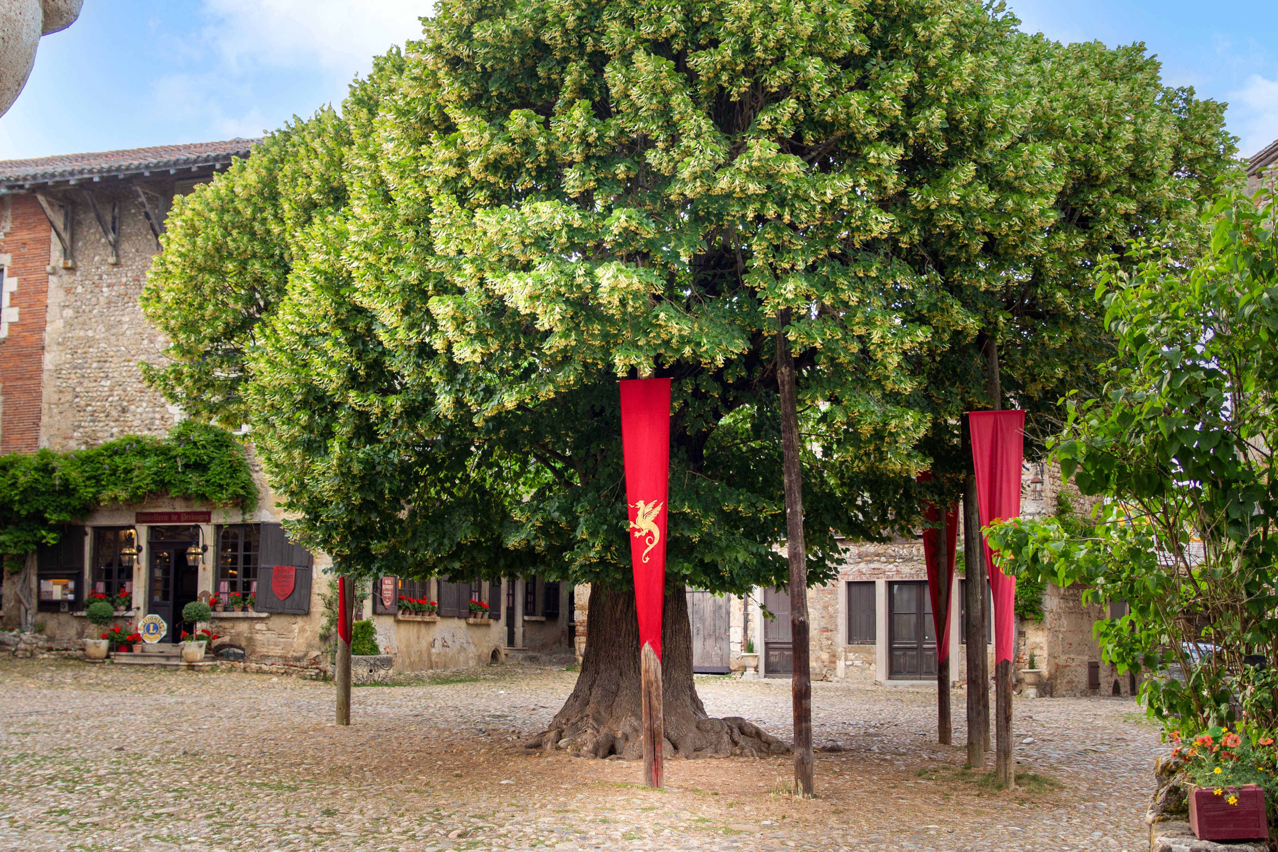 Place emblématique de Pérouge avec un tilleul imposant au centre avec des emblèmes médiévales en tissu rouge